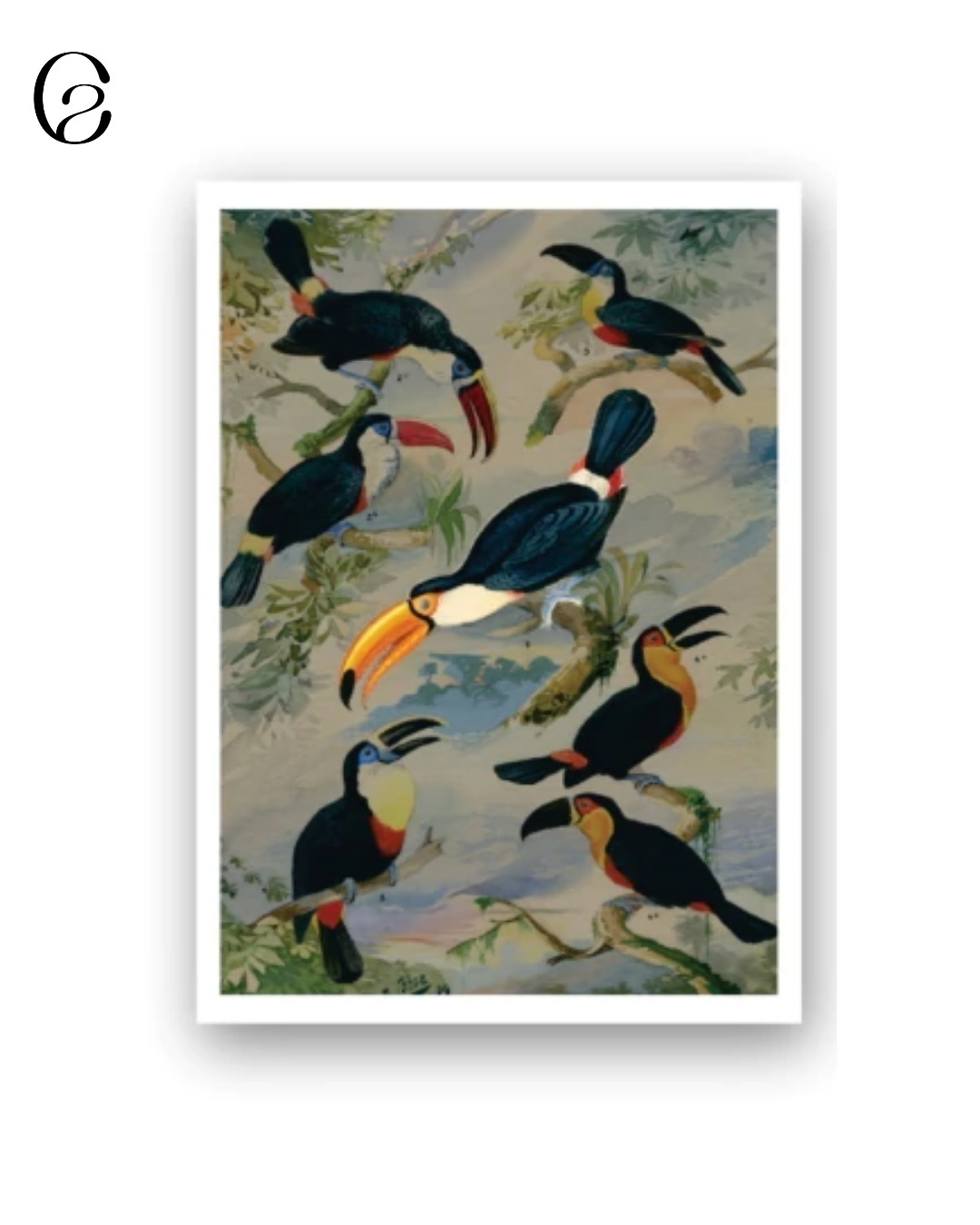 Fotos produtos no site (1).png