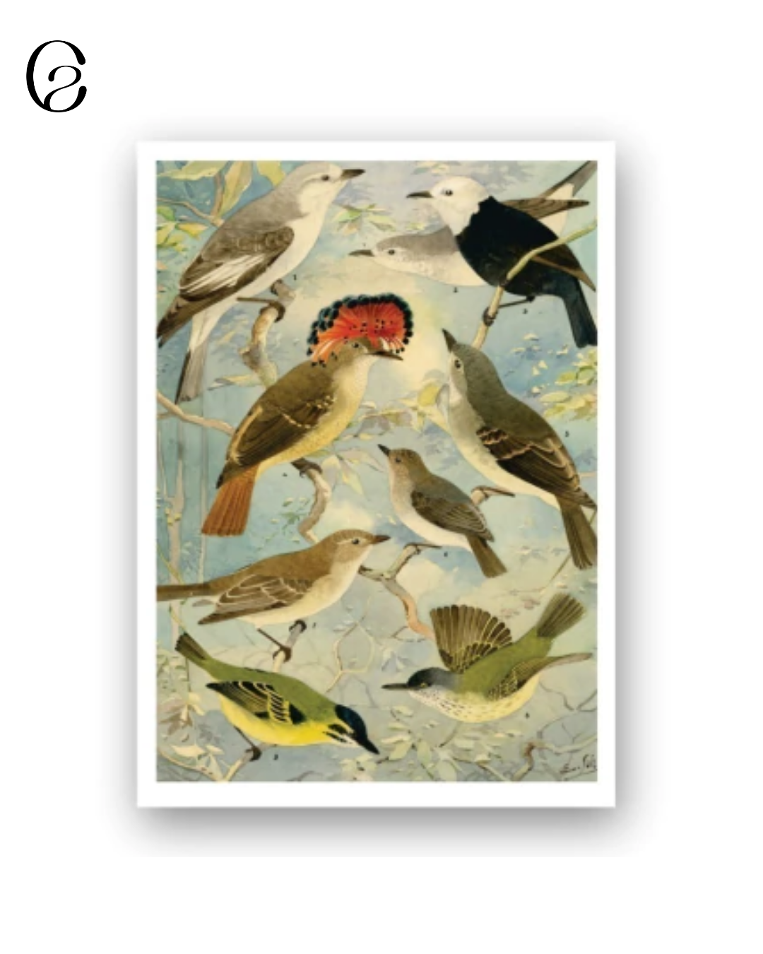 Fotos produtos no site (2).png